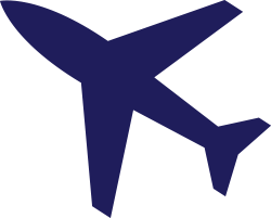 Aviation Icon